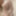 Photos for sexual pleasure and photo sharing. 