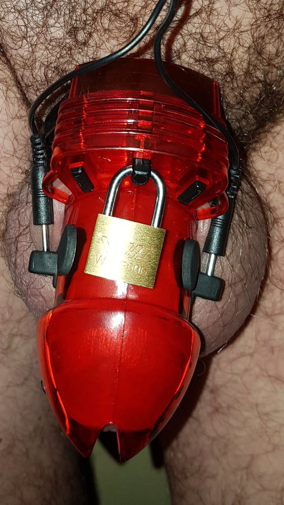 Chastity cage #23