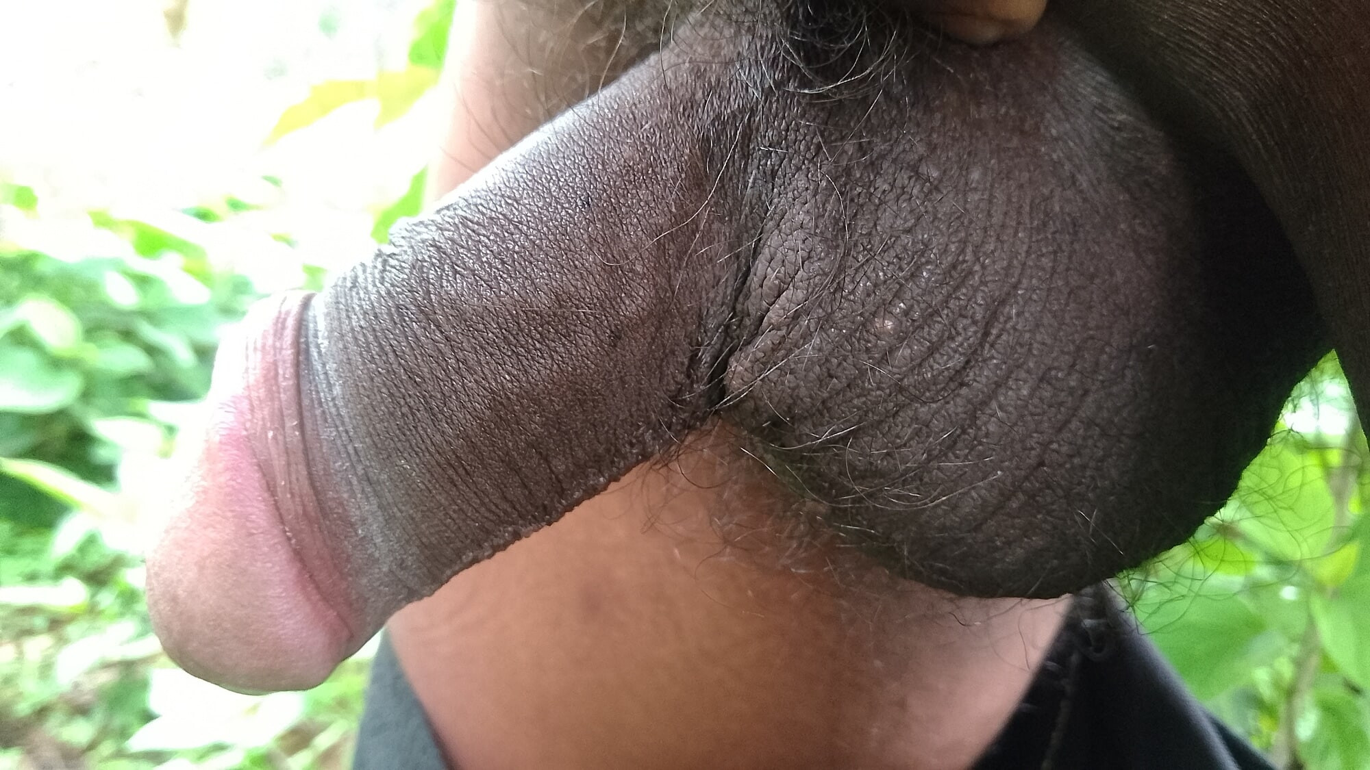 My little Black cock 