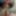 Scolw Free Photos