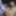 BLEU LOTUS - FULL CLIP ON MY PROFILE #34