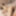 Stepdad learns Kama Sutra with horny stepdaughter #23