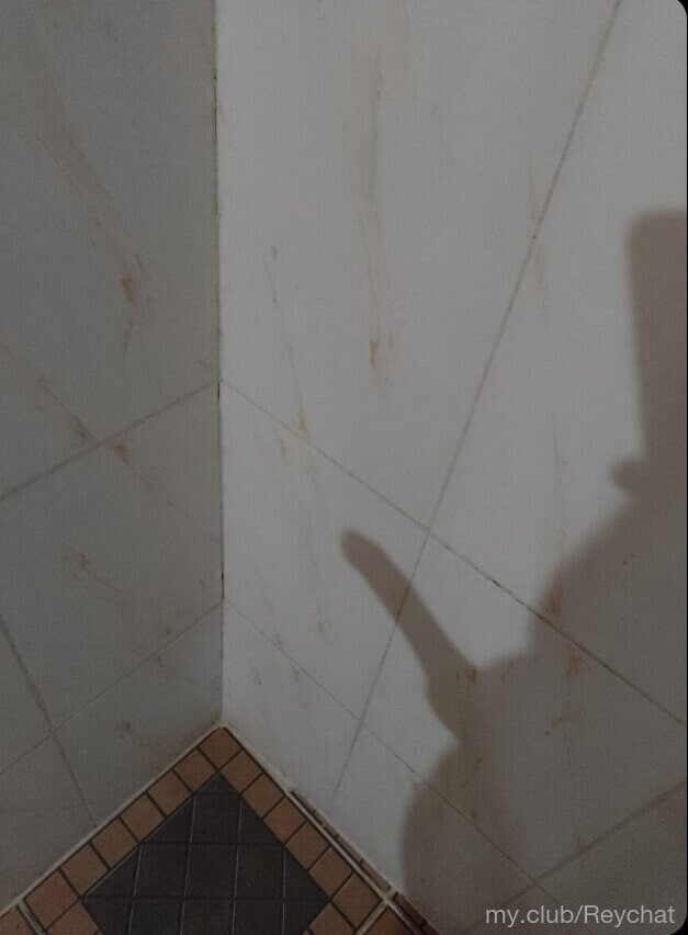 Reychat Δωρεάν Φωτογραφίες