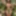 indian girl big boobs photo alabum (Ai model)