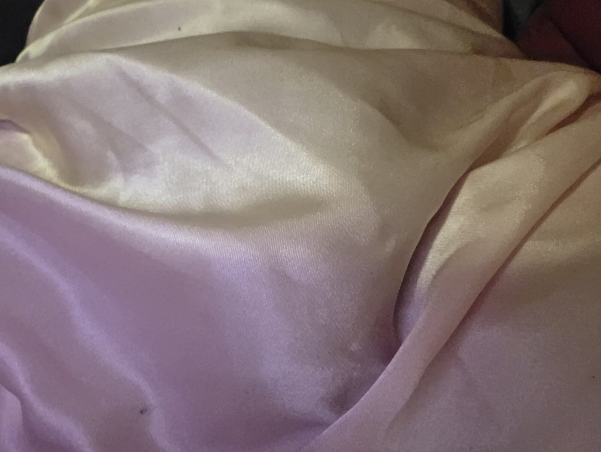 Shy in satin.