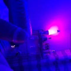 Blue room