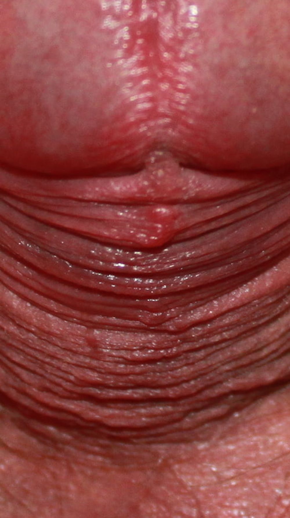 Close up dick #53