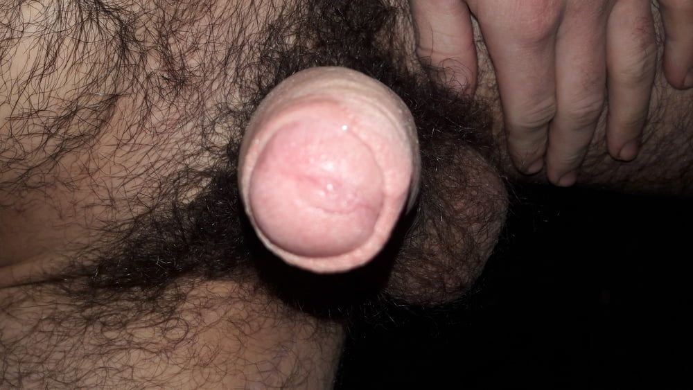 My huge hairy cock and balls) #5
