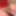 ғʀɪᴅᴀʏ ᴍᴏʀɴɪɴɢ ᴡᴏᴏᴅ 