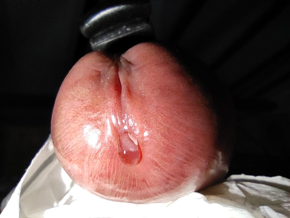 Electro estim cock & precum close-up #6