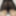 新しい写真
