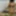 Bhabhi ki moti gand ki photo 