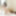 Reina Shiraishi :: Fall In Love - CARIBBEANCOM #32