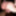 Greatest GIFs from Sexy Slut Evelina 68