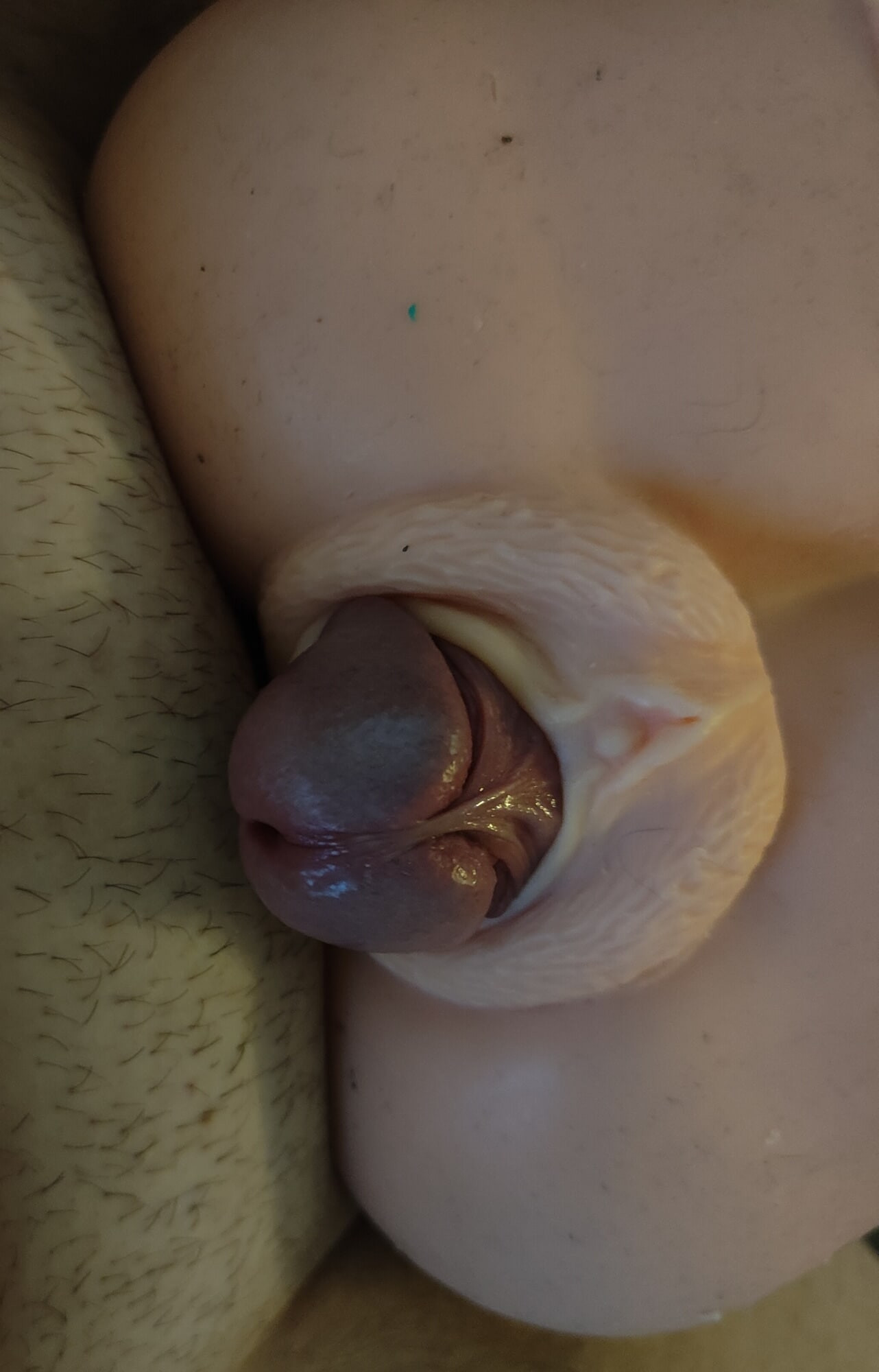 Cock comes out of the Masturbator 