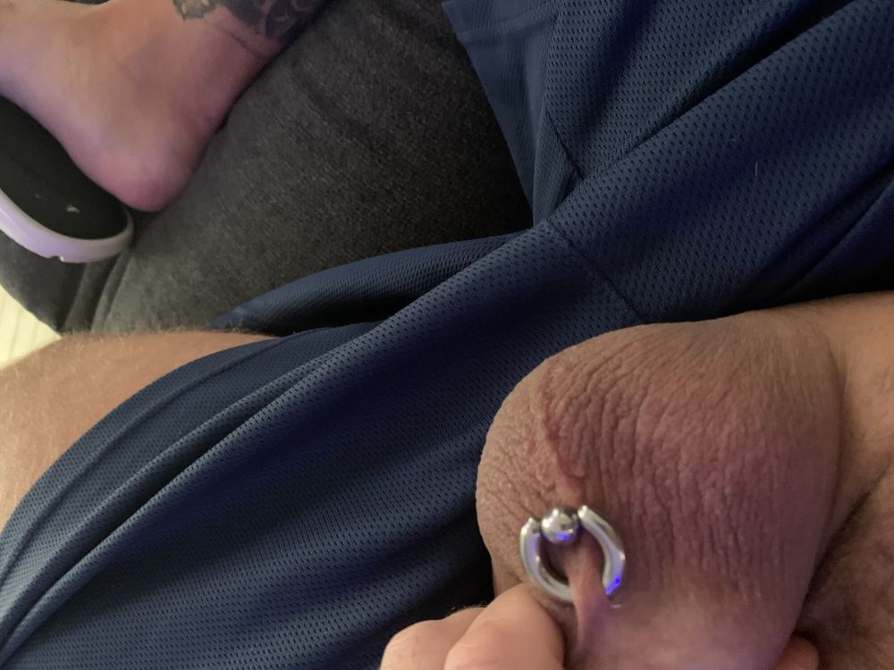 Pierced cock #6