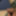 Haired Dick &amp; Balls Cockhead Foreskin  Masturbation  #36