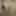 My First Tim Wearing Panties - 2024 03 09