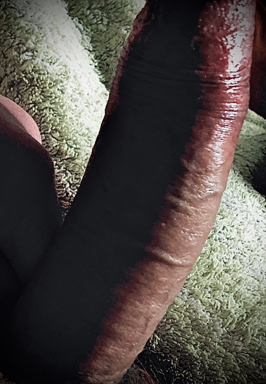 German Cock #3