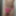 Miss Bunnie Emily Pics