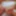 Be Quick, He'll Be Back Soon (Only-Fans Teaser)