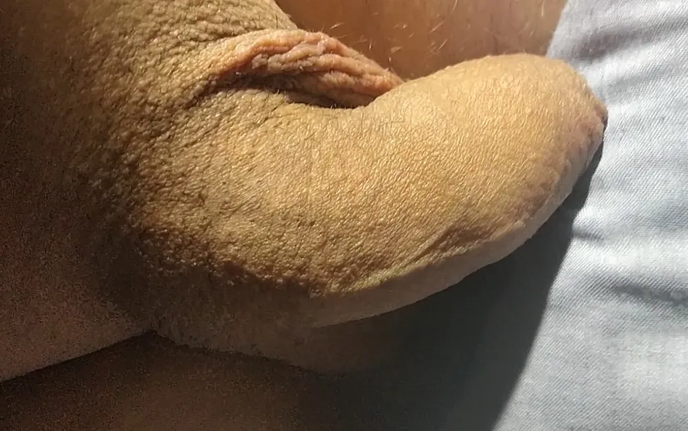 my cock