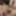 Mandatory weighing cagecheck plugcheck November 08, 2023