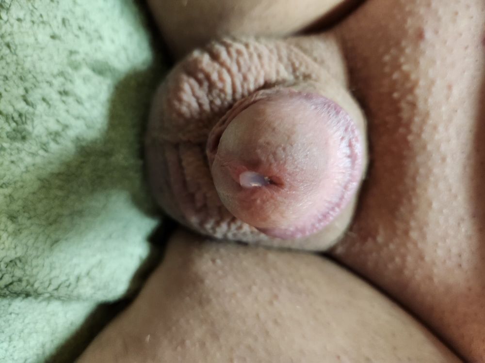 Small Cock Pre-Cum #3