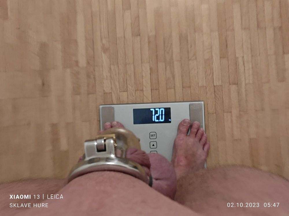 Weighing, Cagecheck, plugcheck Oktober 02, 2023 #4