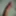 My Cock 