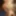 Insatiable blonde barbies in an orgy  #5
