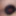 Neues Spielzeug - New Toy  (November 2023)