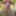 Sexy Crossdresser kellycd2022  cumshot compilation  #37