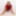 GROOBYVR: A Prime Cut!