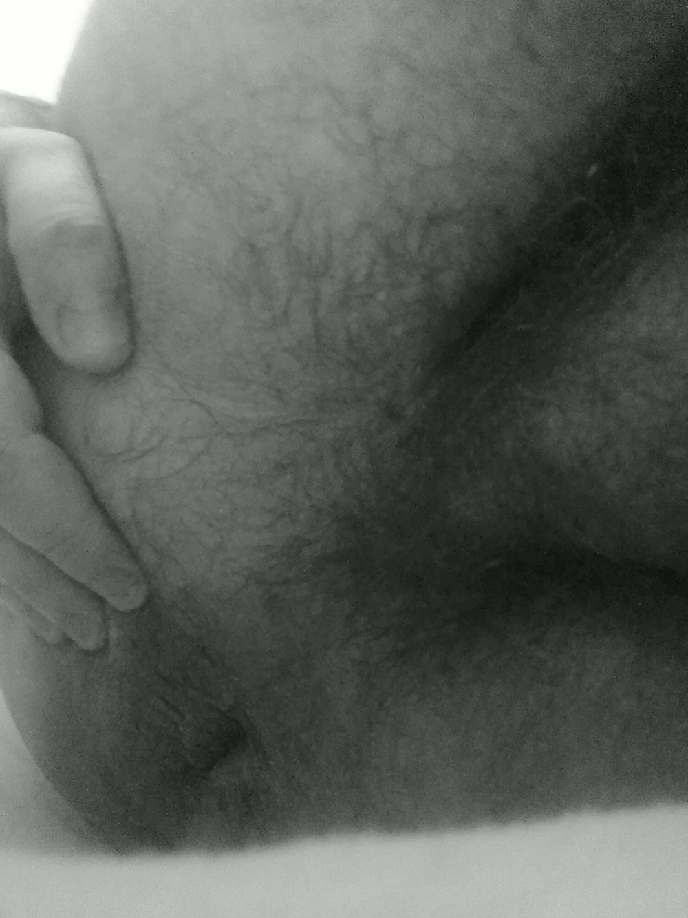 My Ass #3