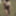 naked walk outdoor in public mit Riesentitten