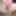 Brush insertion and labia clips #22
