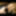 Gif me Gape 22 #9