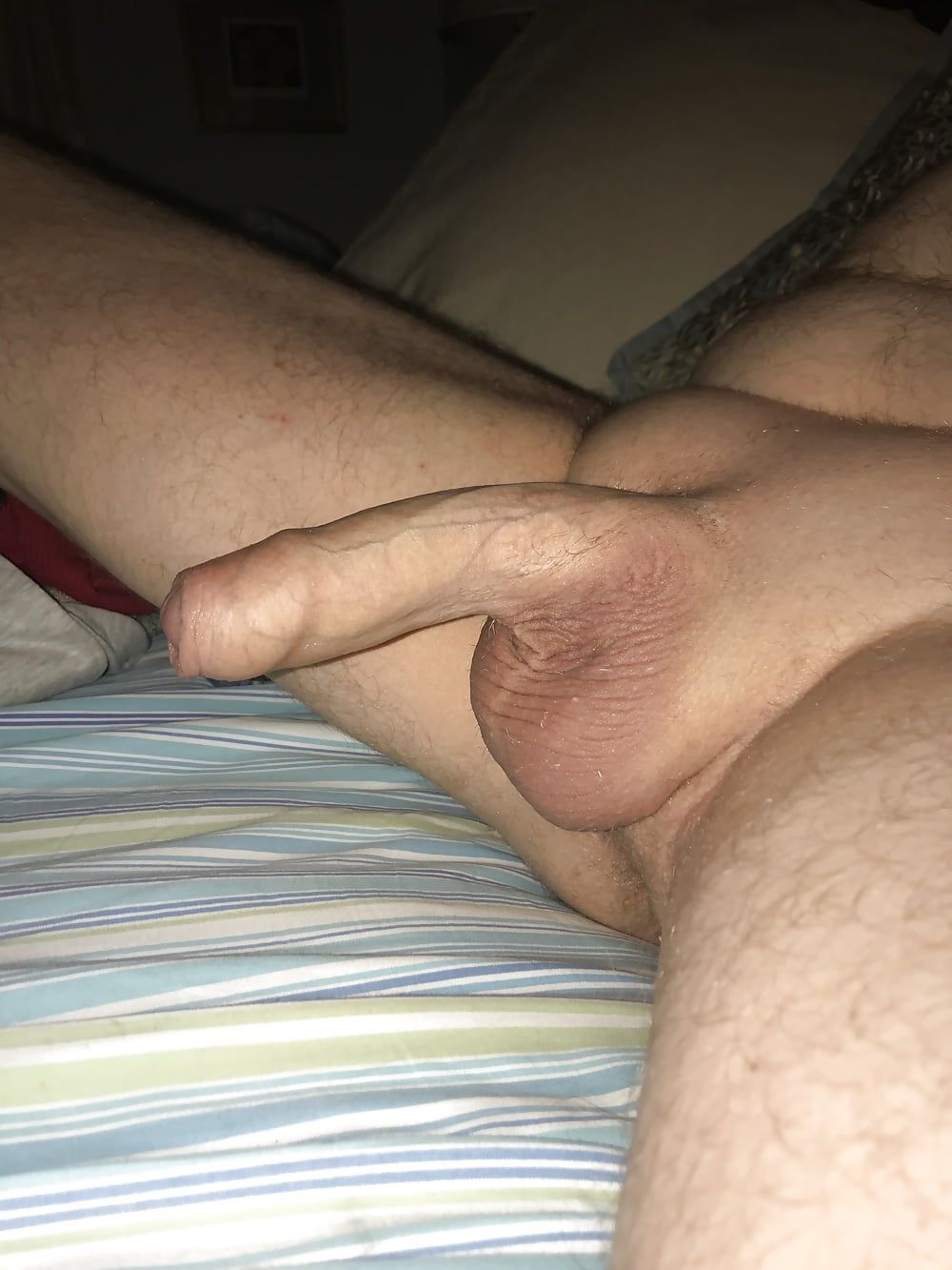 Cock #6
