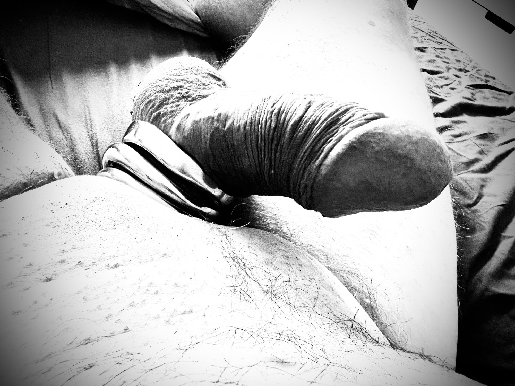 Penis art