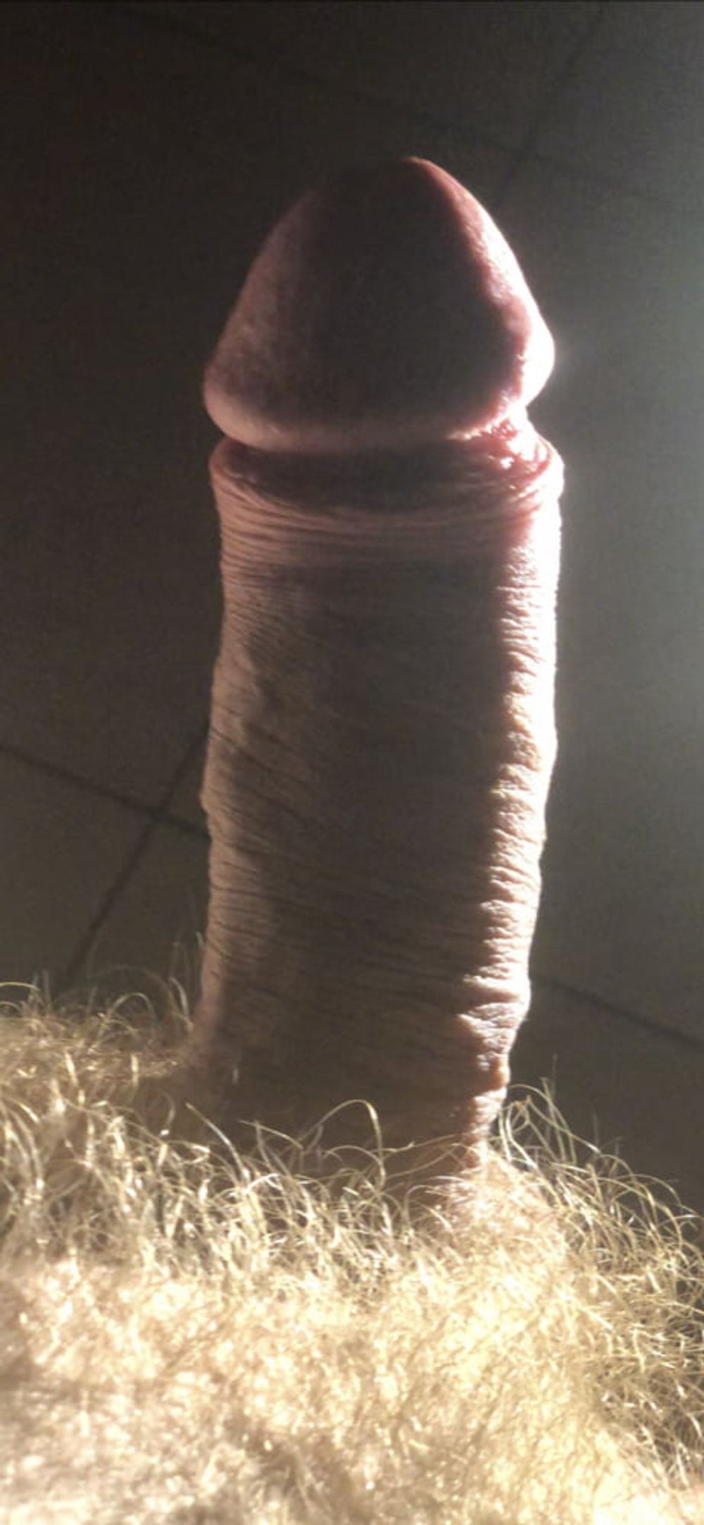 Non porn lighting for a porn dick #2