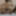 Betina Free Photos
