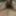 Horny Indian Guy with HOT Nude Selfies