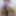 Panty collection Vol. 2