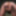 I will tease you in seamless tights! Best Shots from 532 Vid