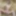 セクシーなブロンドの農場の女の子パウリナの乳白色の混乱