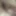 I send you a Dickpic my 23cm  #2