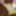 Sissy femboy alone at home (2019) #4