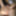 great dick bondage edging flying cumshot #57