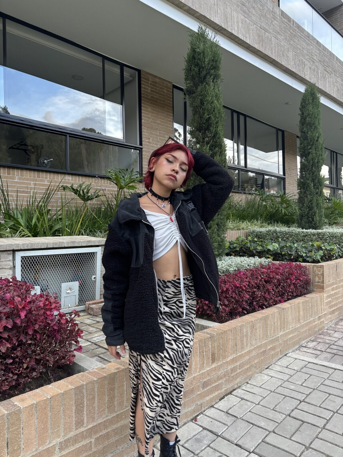 isa Free Photos